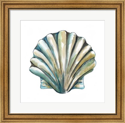 Framed Aquarelle Shells VI Print