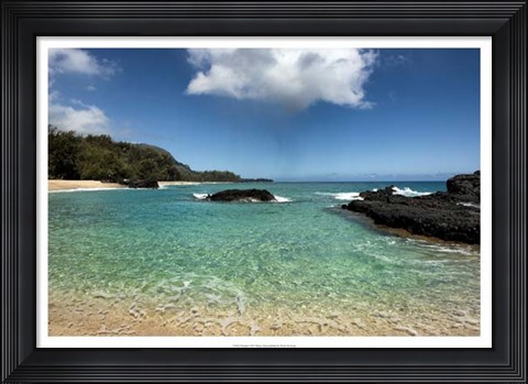 Framed Paradise Print