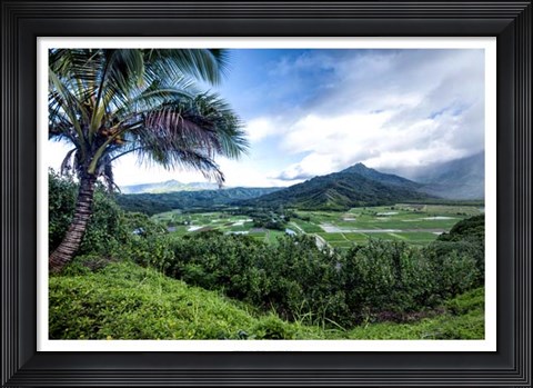 Framed Hanalei Valley Print