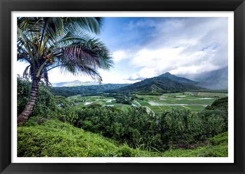 Framed Hanalei Valley Print