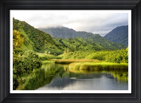 Framed Coastal Marsh I Print