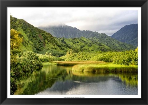 Framed Coastal Marsh I Print