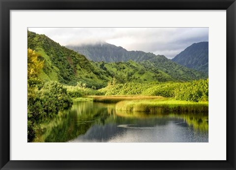 Framed Coastal Marsh I Print