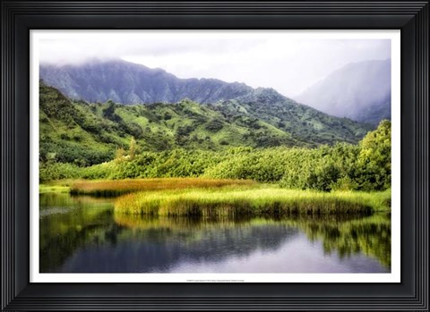 Framed Coastal Marsh II Print