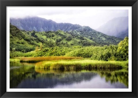 Framed Coastal Marsh II Print