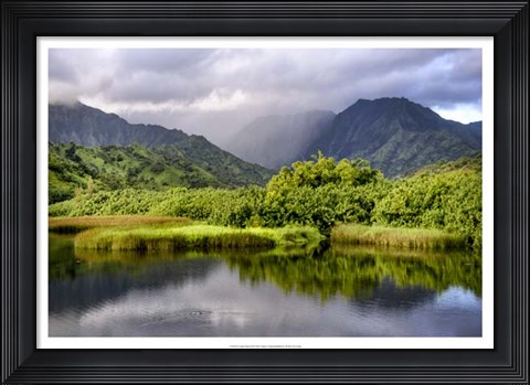 Framed Coastal Marsh III Print