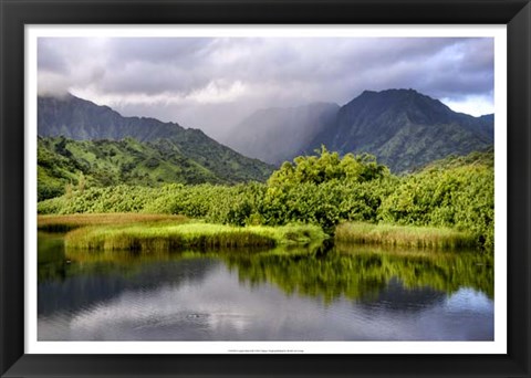 Framed Coastal Marsh III Print