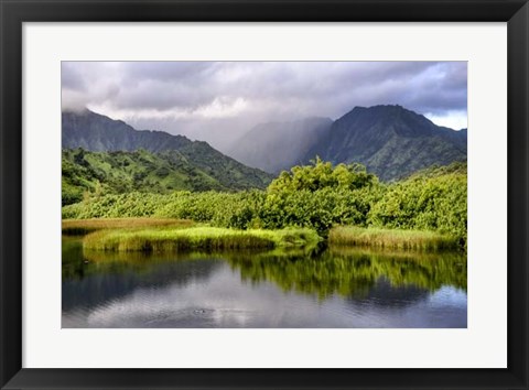 Framed Coastal Marsh III Print