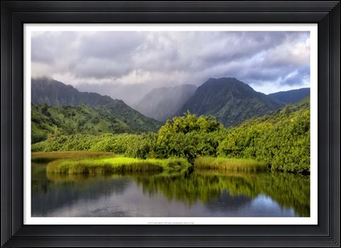 Framed Coastal Marsh IV Print