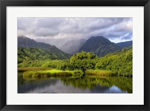 Framed Coastal Marsh IV Print