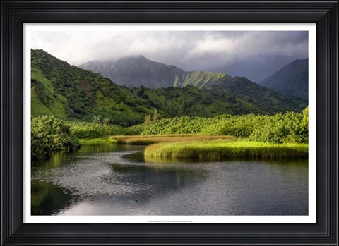 Framed Coastal Marsh V Print