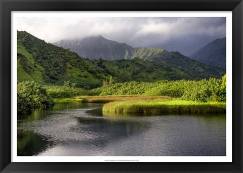 Framed Coastal Marsh V Print