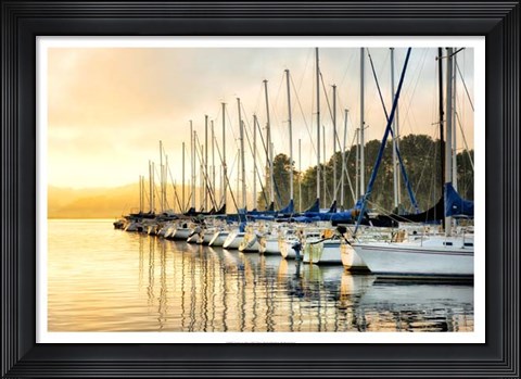 Framed Twelve in a Row Print