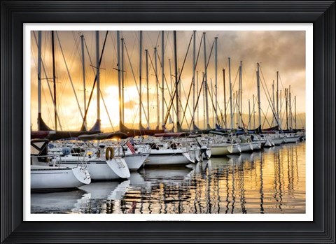Framed Backlit Marina Print