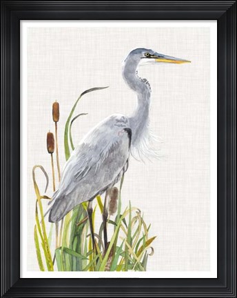 Framed Waterbirds &amp; Cattails I Print