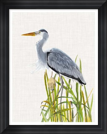 Framed Waterbirds &amp; Cattails II Print
