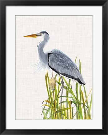 Framed Waterbirds &amp; Cattails II Print