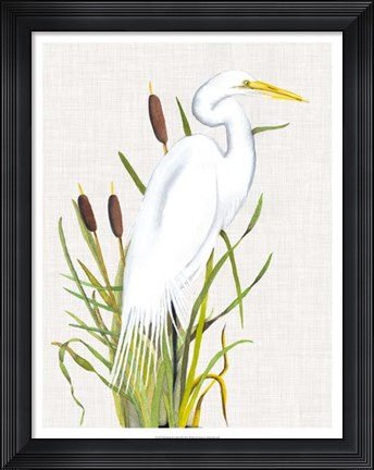 Framed Waterbirds &amp; Cattails III Print