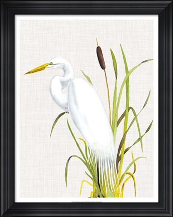 Framed Waterbirds &amp; Cattails IV Print