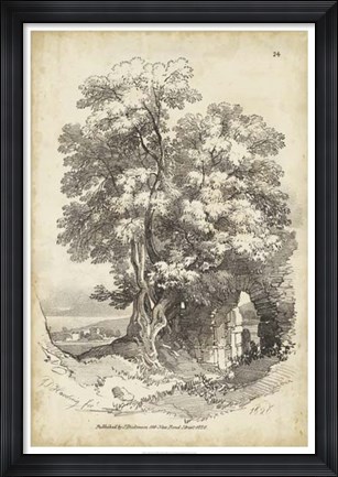 Framed Noble Tree II Print