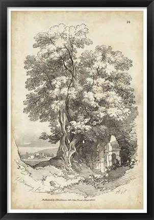 Framed Noble Tree II Print