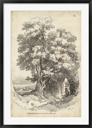 Framed Noble Tree II Print