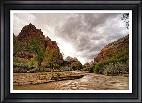 Framed Muddy Waters Print