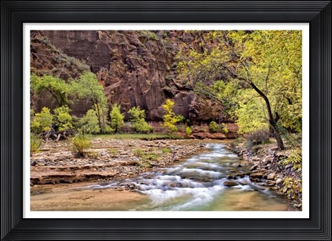 Framed Zion Autumn I Print