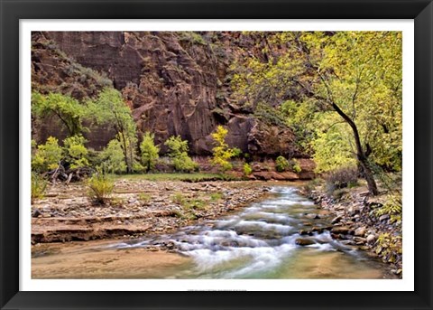 Framed Zion Autumn I Print