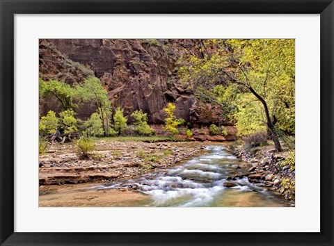 Framed Zion Autumn I Print
