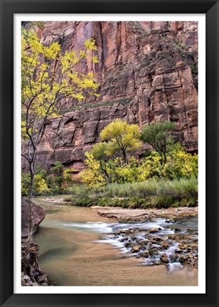 Framed Zion Autumn II Print