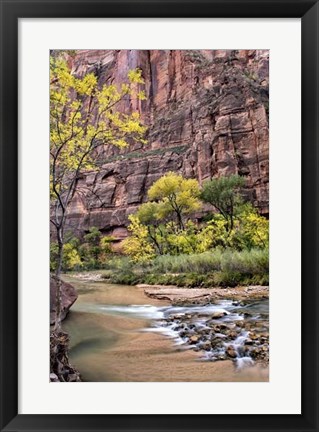 Framed Zion Autumn II Print