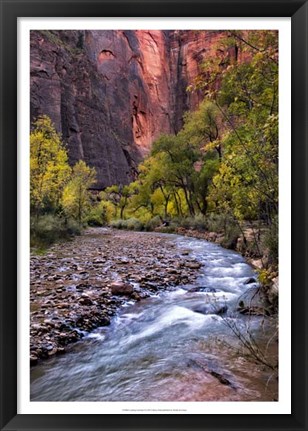 Framed Looking Upstream II Print