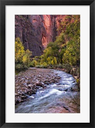 Framed Looking Upstream II Print