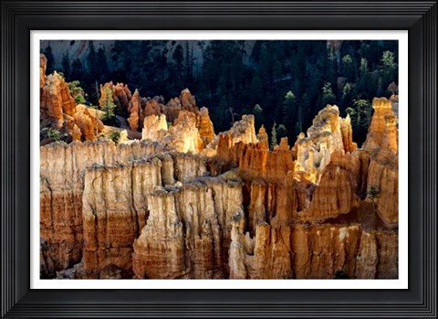 Framed Sun Bath I Print