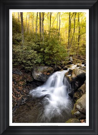 Framed Spilled Milk Print