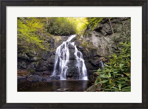 Framed Spruce Flat Falls Print