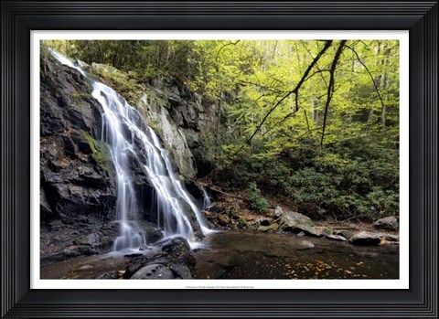 Framed Spruce Flat Falls at Morning Print