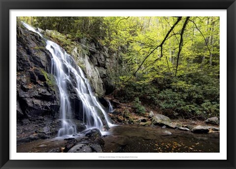 Framed Spruce Flat Falls at Morning Print