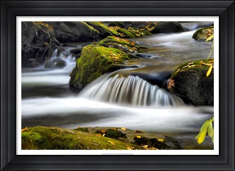 Framed Close to Nature Print
