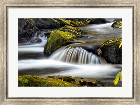 Framed Close to Nature Print