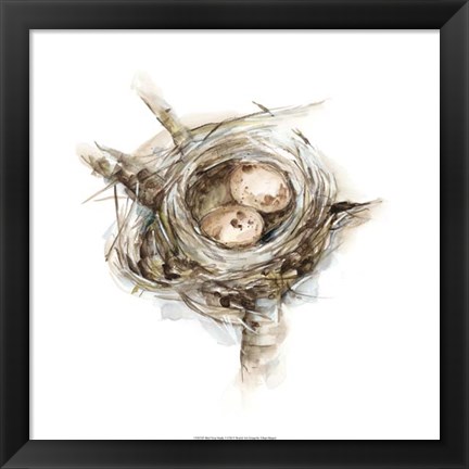 Framed Bird Nest Study I Print