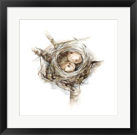 Framed Bird Nest Study I Print