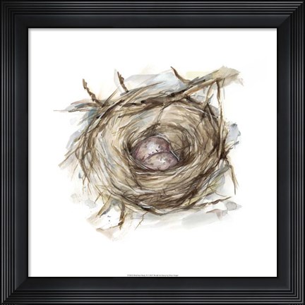 Framed Bird Nest Study IV Print
