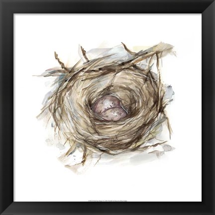 Framed Bird Nest Study IV Print