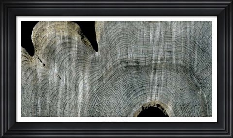 Framed Gray Ghost I Print