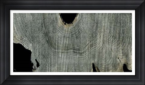 Framed Gray Ghost II Print