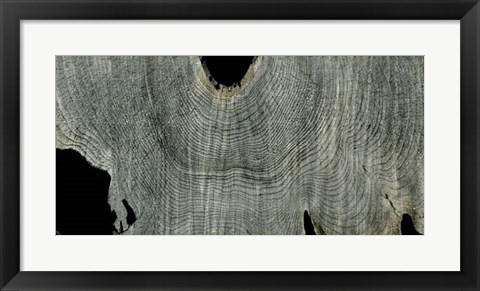 Framed Gray Ghost II Print