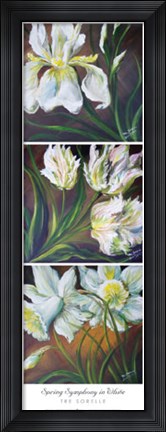 Framed Spring Symphony In White Print