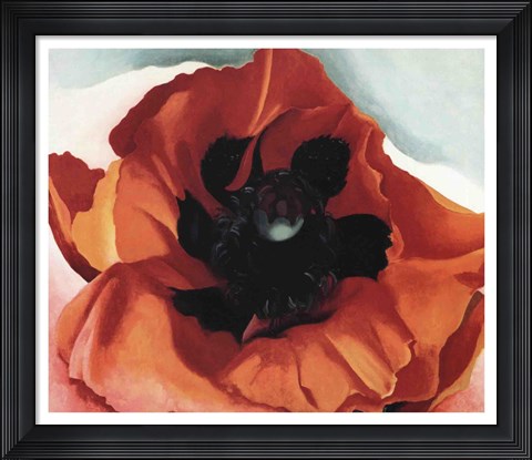 Framed Poppy Print